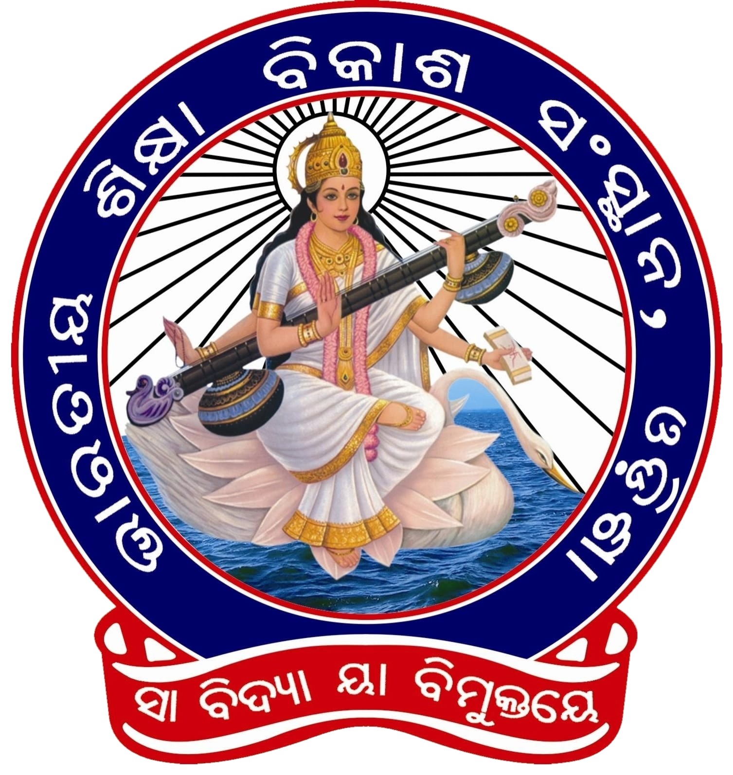 BSVS Logo